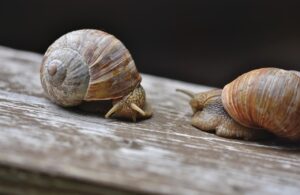 車検前に車売却をおすすめしない理由とは？